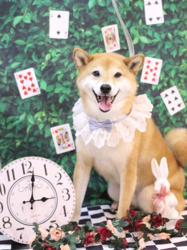 20250423シュウくん